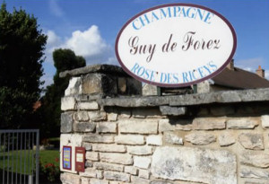 Guy de Forez, Champagne
